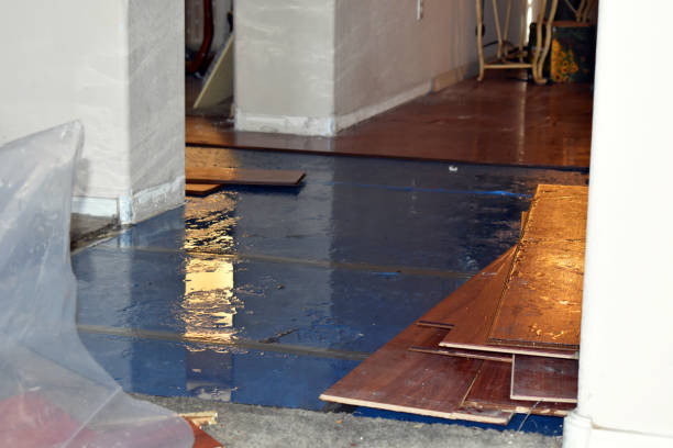 Professional Basement Flood Cleanup technician working in Cresskill, NJ